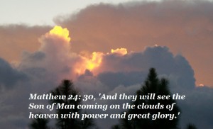 Bible Quotes